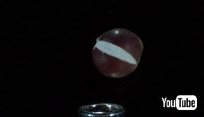 ポップコーンが弾ける瞬間のウルトラスロー映像が生命誕生の神秘すぎる