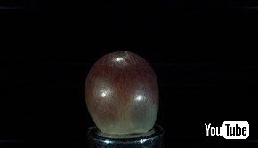 ポップコーンが弾ける瞬間のウルトラスロー映像が生命誕生の神秘すぎる