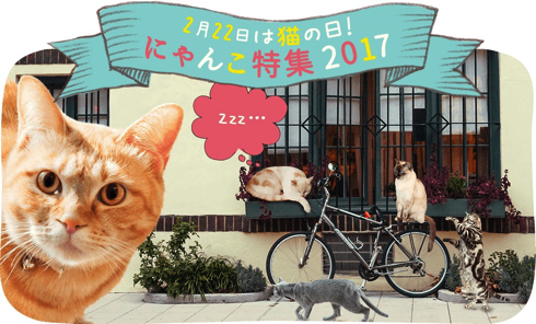 猫の日