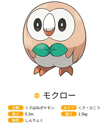 フクロウカフェ アウルの森 モクロー