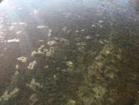 袋田の滝　凍結