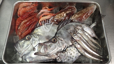 サンシャイン水族館ゾクゾク深海生物