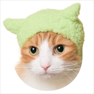 ねこひつじちゃん