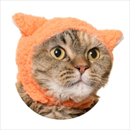 ねこひつじちゃん