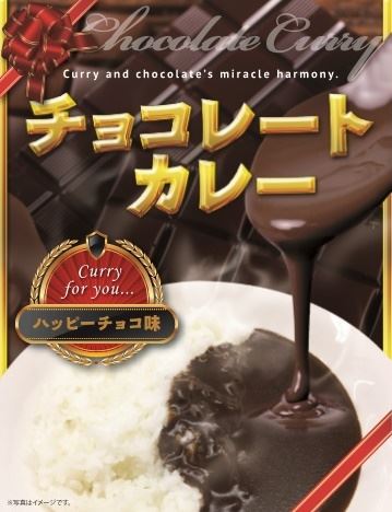 とにかくマズイ チョコレートカレー ハッピーチョコ味 ヴィレッジヴァンガード