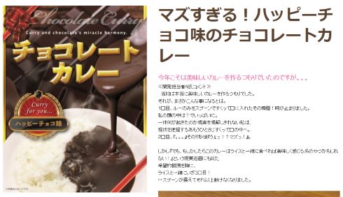 とにかくマズイ チョコレートカレー ハッピーチョコ味 ヴィレッジヴァンガード