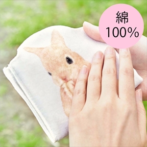 うたっちペットボトルタオル