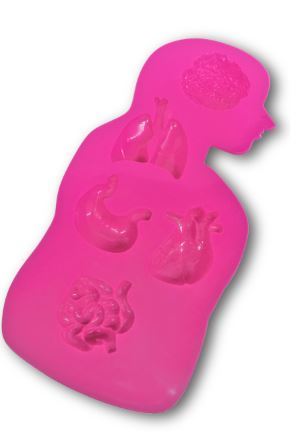 ヴィレッジヴァンガード バレンタインデー 人体臓器 うんち シリコントレー