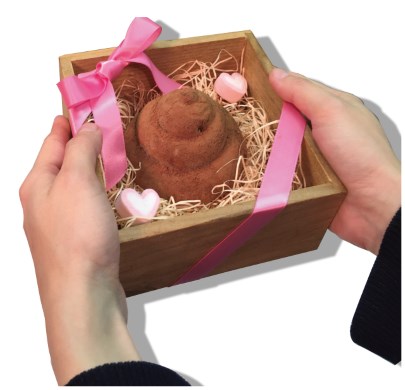 ヴィレッジヴァンガード バレンタインデー 人体臓器 うんち シリコントレー