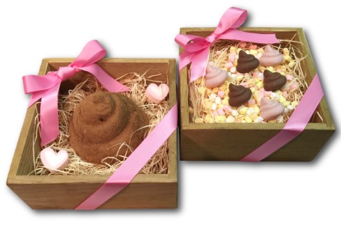 ヴィレッジヴァンガード バレンタインデー 人体臓器 うんち シリコントレー