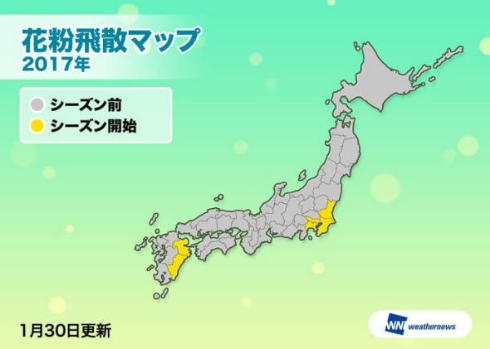 花粉 シーズンイン 関東 九州 突入 ウェザーニューズ スギ