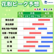 花粉 シーズンイン 関東 九州 突入 ウェザーニューズ スギ