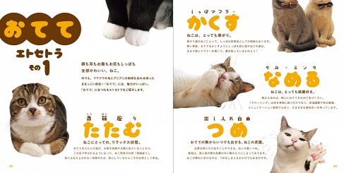 ねこのおてて