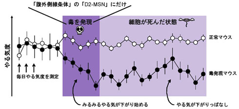 実験データ