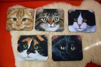 ネコのいる暮らし展