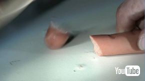 ねずみ取り ソーセージ 4K スロー 動画 痛い