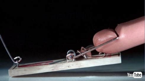 ねずみ取り ソーセージ 4K スロー 動画 痛い