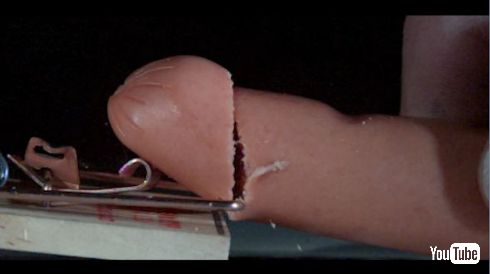 ねずみ取り ソーセージ 4K スロー 動画 痛い