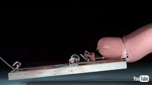 ねずみ取り ソーセージ 4K スロー 動画 痛い