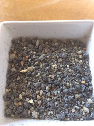 マンホールチョコプリン