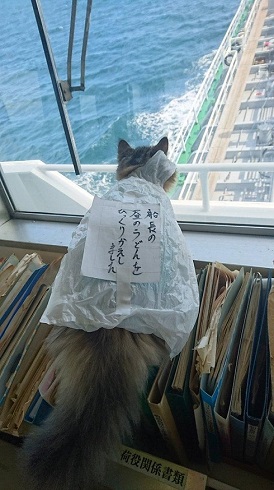 カンパチ玉之丞