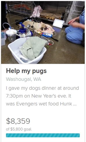 ドッグフードに安楽死用の薬品が混入　アメリカで悲しい自主回収が発生