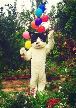 フェリシモ猫部ニコカフェコラボ