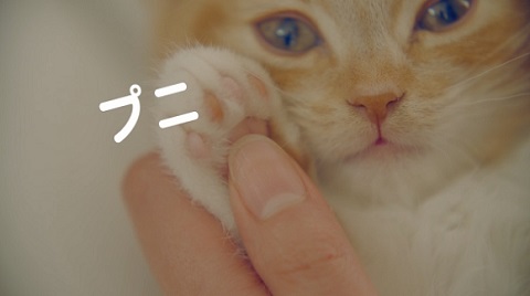 ソフトリングノート