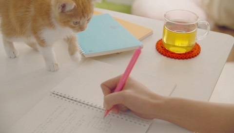 ソフトリングノート