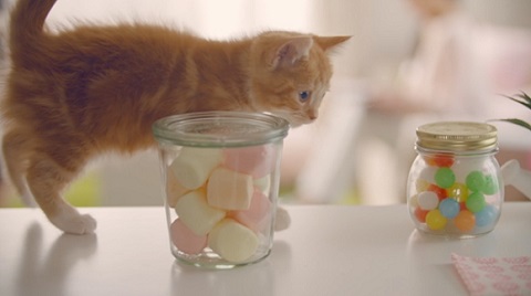 ソフトリングノート