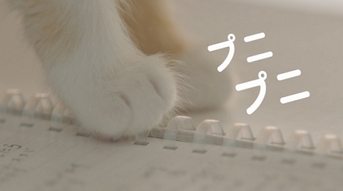 ソフトリングノート