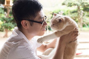 ねこあつめ 実写 映画 猫 ちゃはちさん