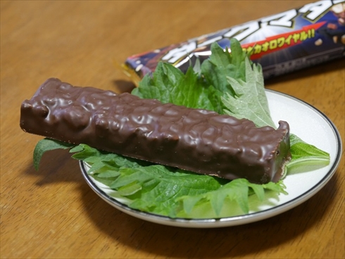 シソの上に乗ったダークマター