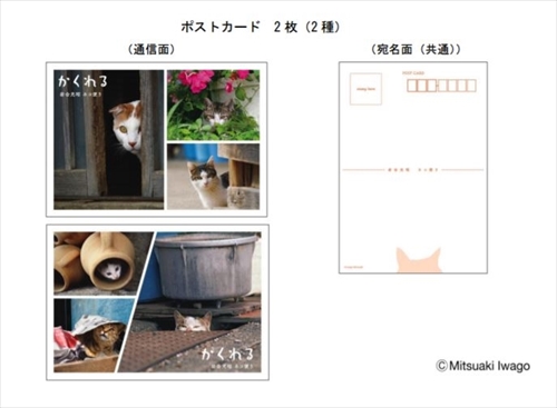 岩合光昭さんフレーム切手セット