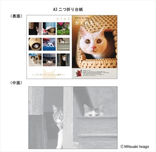 岩合光昭さんフレーム切手セット