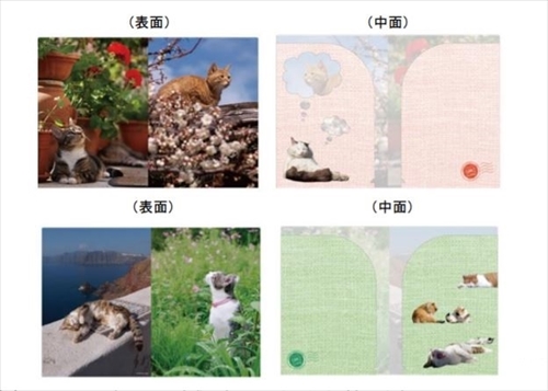 岩合光昭さんフレーム切手セット