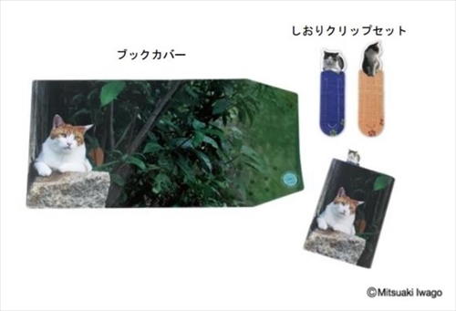 岩合光昭さんフレーム切手セット