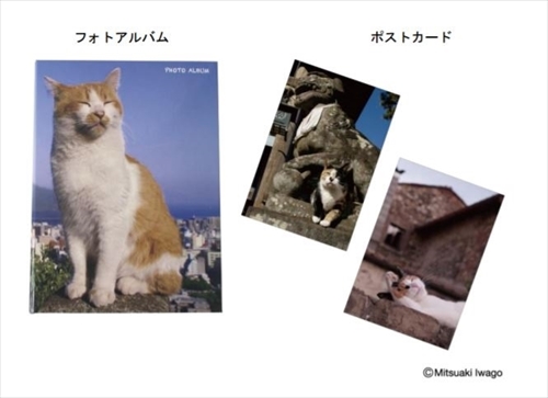 岩合光昭さんフレーム切手セット