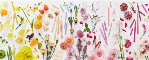 フェリシモ色えんぴつ