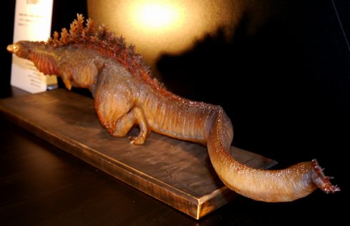 シン・ゴジラ　第5形態　雛形　ワンフェス