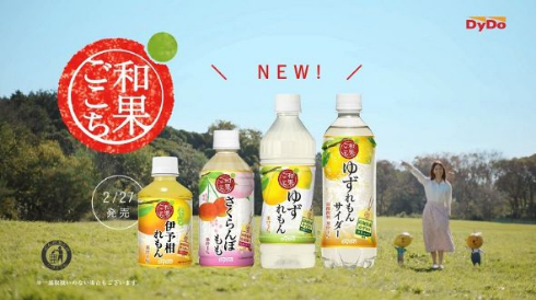 「和果ごごち」商品紹介