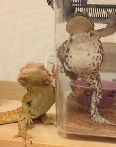 足を高く上げて…