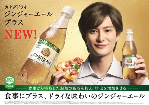 カナダ ドライ ジンジャーエール プラス