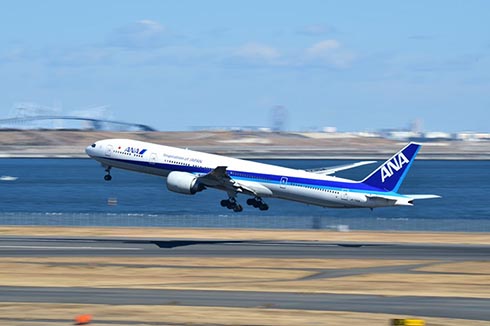 マグロの流し撮り