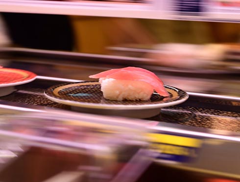 マグロの流し撮り