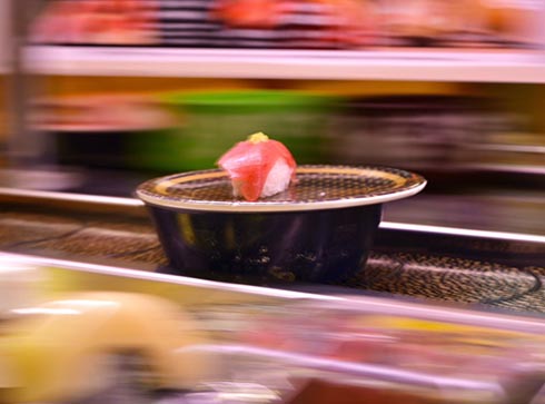 マグロの流し撮り