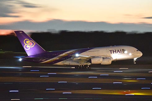 マグロの流し撮り