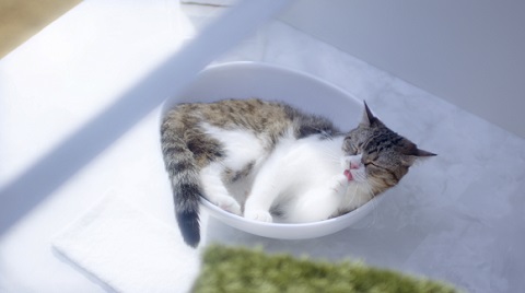 デザイニャーズハウス