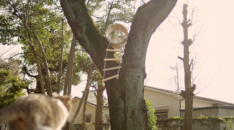 デザイニャーズハウス