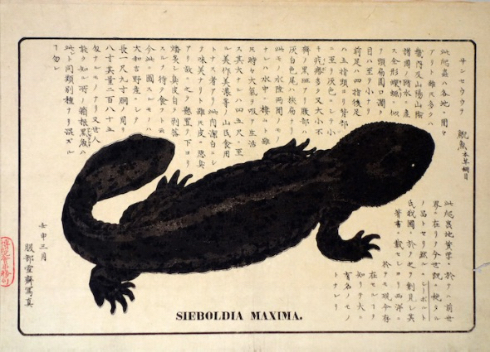 太田記念美術館浮世絵動物園